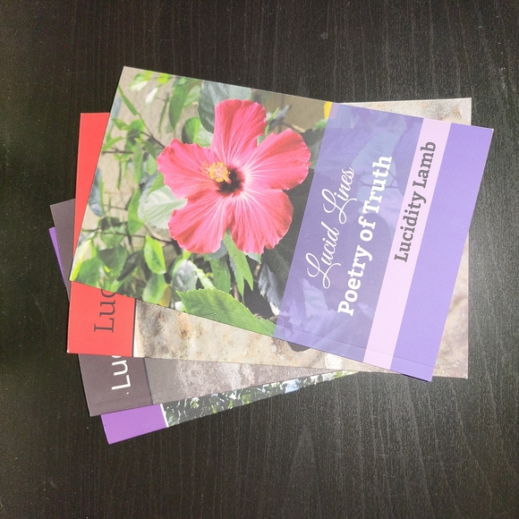 Meet your Posher, Lucidity - Picture 2 of 2